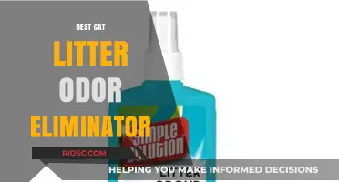 Top-Rated Cat Litter Odor Eliminators to Keep Your Home Fresh and Clean