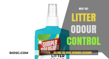Effective Cat Litter Odour Control: Top Solutions for a Fresh-Smelling Home