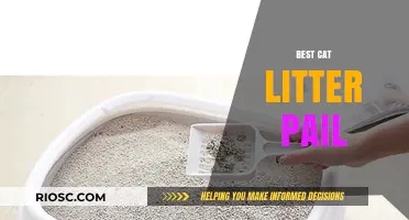 Top Picks for the Best Cat Litter Pail: Keep Your Home Fresh and Odor-Free