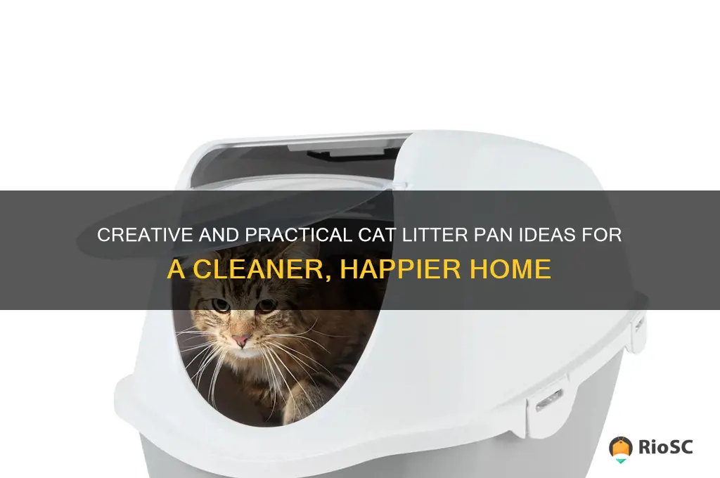best cat litter pan ideas