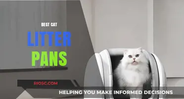 Top Picks for the Best Cat Litter Pans: Comfort, Durability, and Easy Cleaning