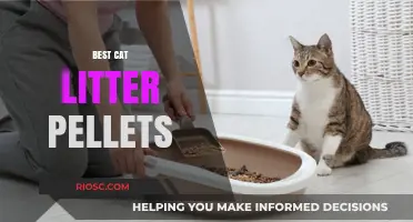 Eco-Friendly and Odor-Free: Discover the Best Cat Litter Pellets for Your Feline Friend
