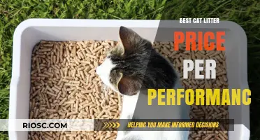 Top-Performing Cat Litter Options: Balancing Quality and Cost for Optimal Value