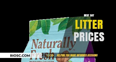 Top Deals on Cat Litter: Where to Find the Best Prices for Your Feline Friend