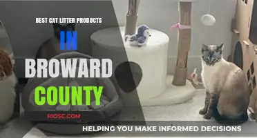 Top-Rated Cat Litter Products in Broward County: A Comprehensive Guide for Pet Owners