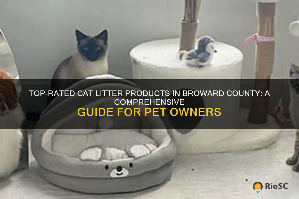 best cat litter products in broward county