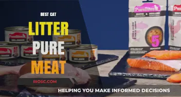 Pure Meat Cat Litter: Is It the Best Choice for Your Feline Friend?