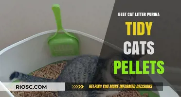 Purina Tidy Cats Pellets: The Ultimate Guide to Choosing the Best Cat Litter for Your Feline Friend