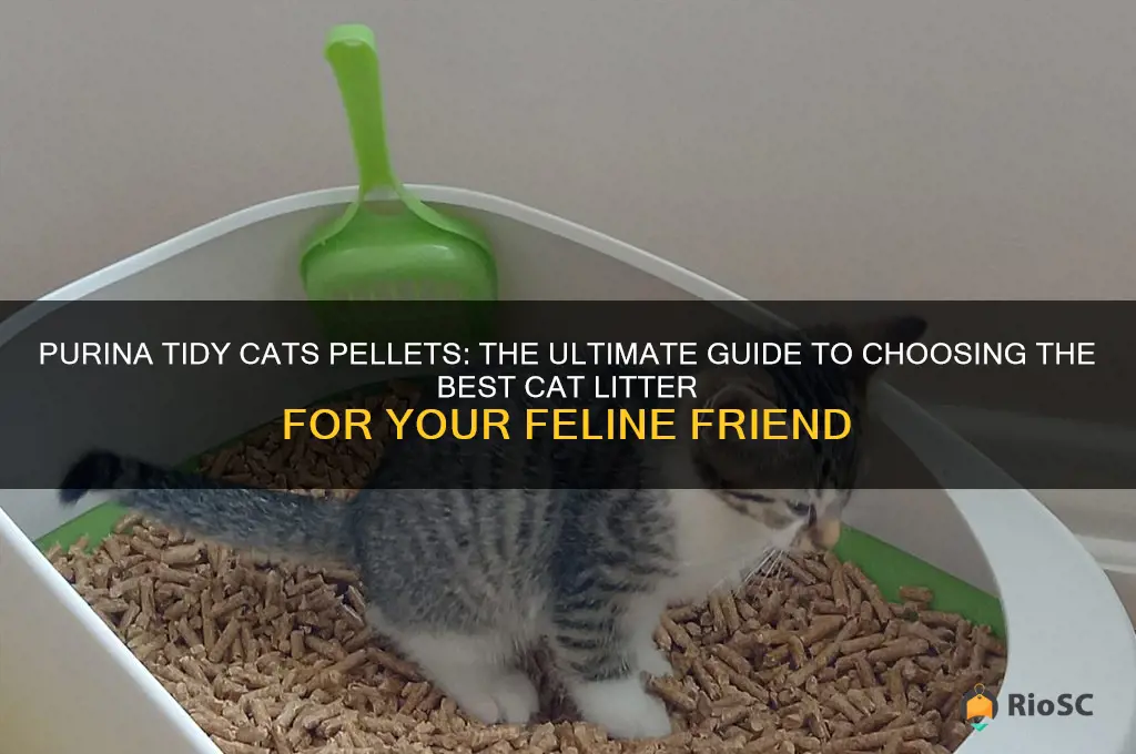 best cat litter purina tidy cats pellets