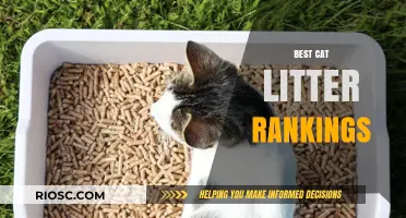 Top-Rated Cat Litter Brands: A Comprehensive Guide to Choosing the Best Option for Your Feline Friend