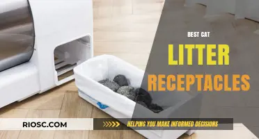 Top-Rated Cat Litter Receptacles for a Clean and Odor-Free Home