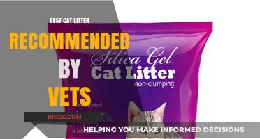 Vet-Approved Cat Litter: Top Recommendations for a Healthy and Happy Feline