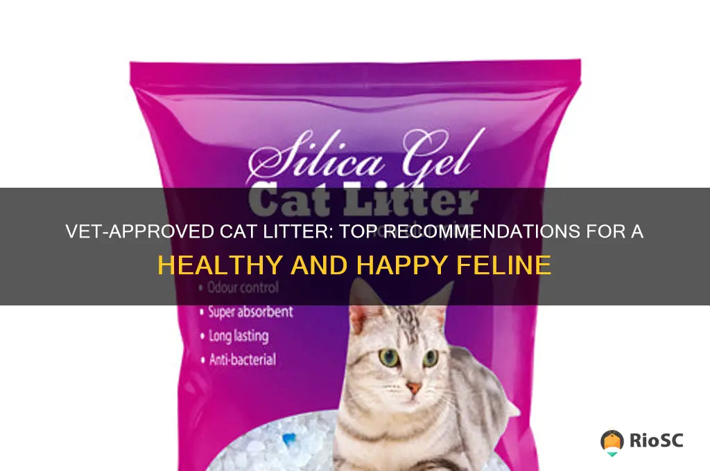 best cat litter recommended by vets