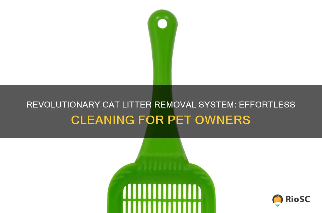 best cat litter removal system