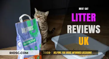 Top-Rated Cat Litter in the UK: Expert Reviews and Recommendations for 2023