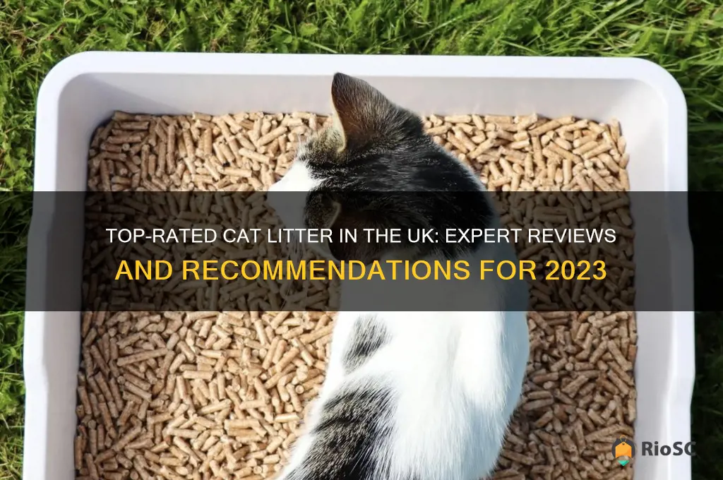 best cat litter reviews uk
