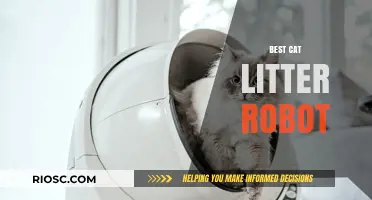 Revolutionize Your Cat Care: Discover the Ultimate Cat Litter Robot for Effortless Cleaning