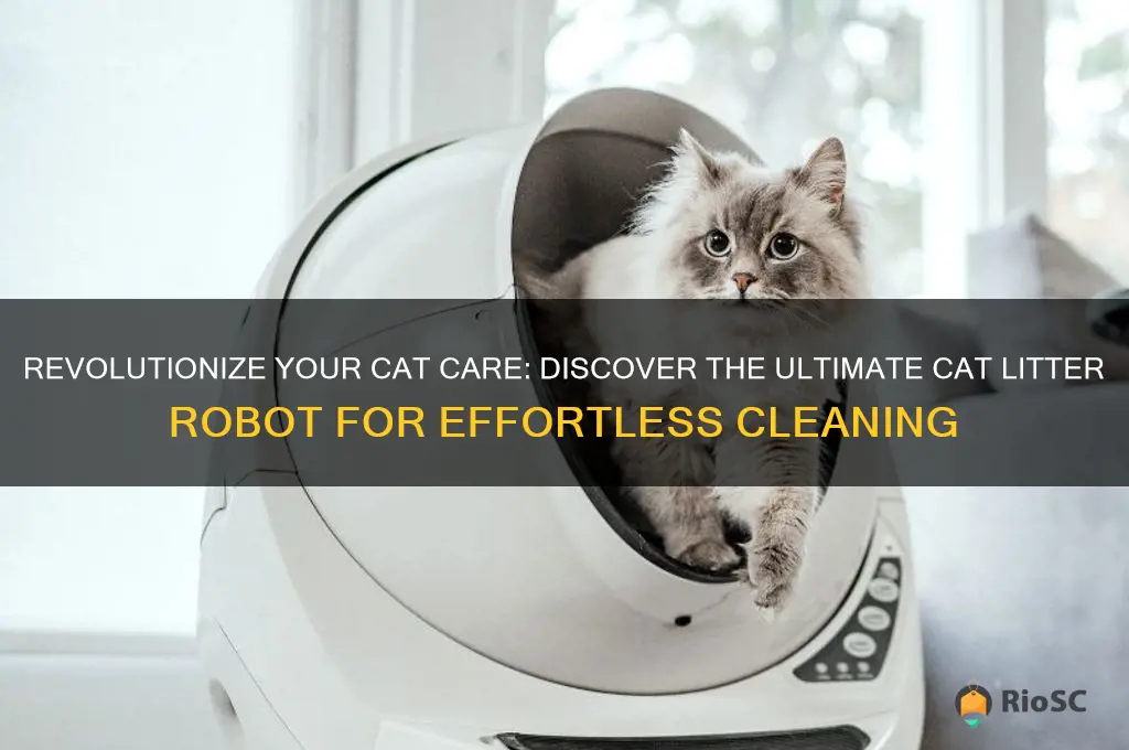 best cat litter robot