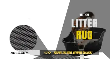 Top Picks for the Best Cat Litter Rug to Keep Your Floors Clean and Tidy