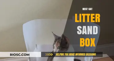 Top Picks for the Best Cat Litter Sand Box: Comfort and Convenience for Your Feline Friend