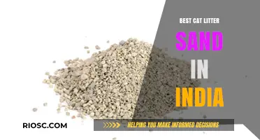 Top-Rated Cat Litter Sand Options for Indian Pet Owners: A Comprehensive Guide