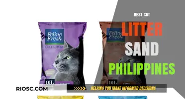 Top-Rated Cat Litter Sand Options in the Philippines: A Comprehensive Guide for Pet Owners