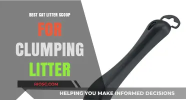 Top-Rated Cat Litter Scoops for Clumping Litter: Effortless Cleaning for a Fresher Litter Box