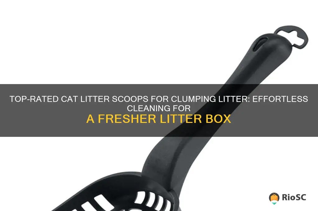 best cat litter scoop for clumping litter