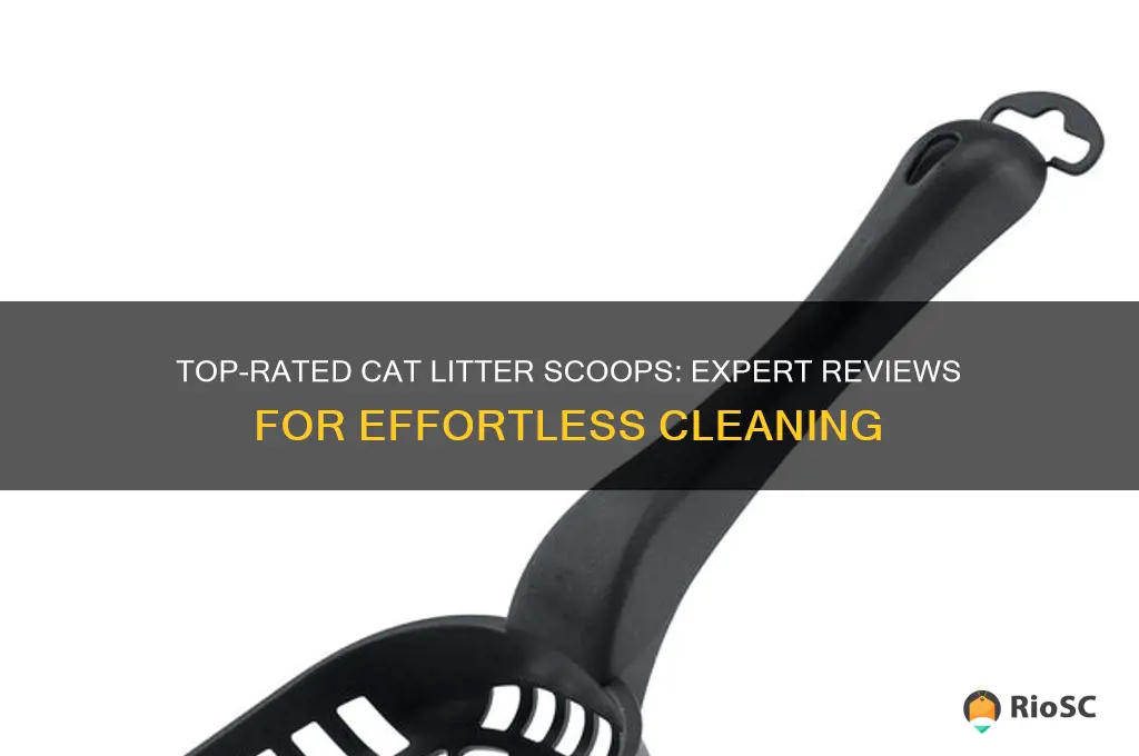best cat litter scoop reviews