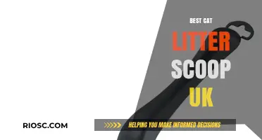 Top-Rated Cat Litter Scoops in the UK: Your Ultimate Guide to Cleaner Litter Boxes