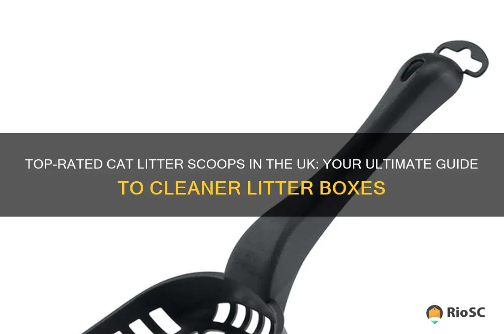 best cat litter scoop uk