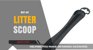 Top-Rated Cat Litter Scoops for Effortless Cleaning and Odor Control