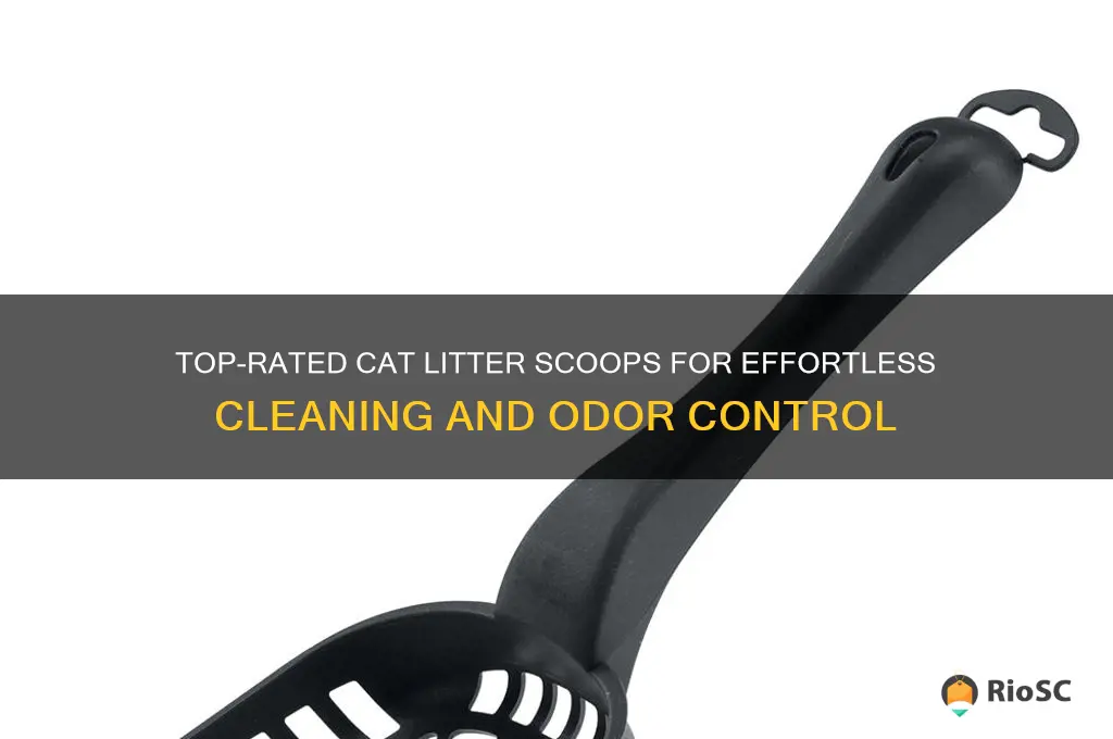 best cat litter scoop