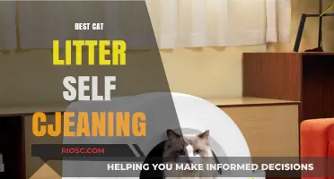 Revolutionize Your Cat Care: Top Self-Cleaning Litter Boxes for Effortless Maintenance
