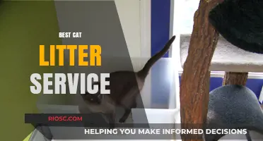 Purr-fectly Clean: Discover the Best Cat Litter Service for Your Feline Friend