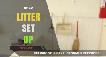 Purr-fectly Clean: The Ultimate Guide to the Best Cat Litter Setup