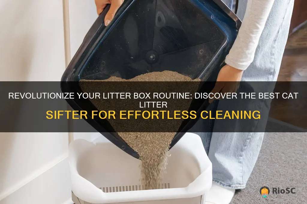 Picture of Revolutionize Your Litter Box Routine: Discover The Best Cat Litter ...