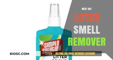 Effective Solutions to Eliminate Cat Litter Odor: Top Smell Removers for a Fresh Home