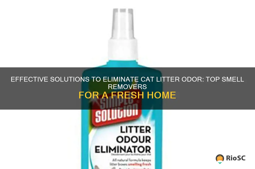 best cat litter smell remover