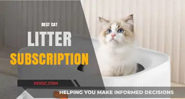 Purr-fectly Convenient: Top Cat Litter Subscription Services for Busy Pet Owners