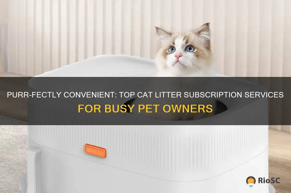 best cat litter subscription