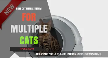 Ultimate Multi-Cat Litter Solution: Top Systems for a Clean and Odor-Free Home