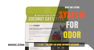 Revolutionary Cat Litter Systems: Top Picks for Eliminating Odor and Keeping Your Home Fresh