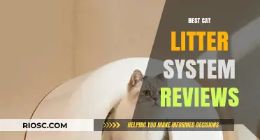 Top-Rated Cat Litter Systems: Expert Reviews and Recommendations for a Cleaner, Fresher Home