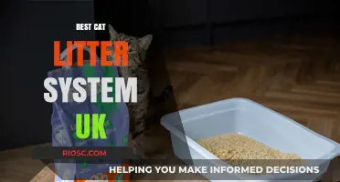 Top-Rated Cat Litter Systems in the UK: A Comprehensive Guide to the Best Options for Your Feline Friend