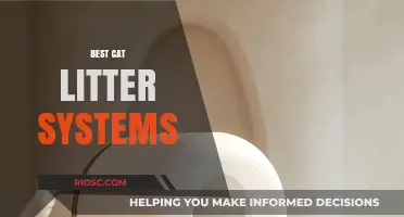 Revolutionize Your Cat Care: Top-Rated Cat Litter Systems for a Cleaner, Fresher Home
