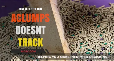 Top Clumping Cat Litter Options That Minimize Tracking for a Cleaner Home