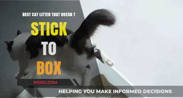 Top Non-Stick Cat Litter Options to Keep Your Litter Box Clean and Clump-Free