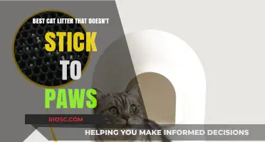 Paw-Friendly Perfection: Top Cat Litter Options That Stay Off Paws