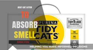 Top Odor-Absorbing Cat Litters: Keep Your Home Fresh and Clean